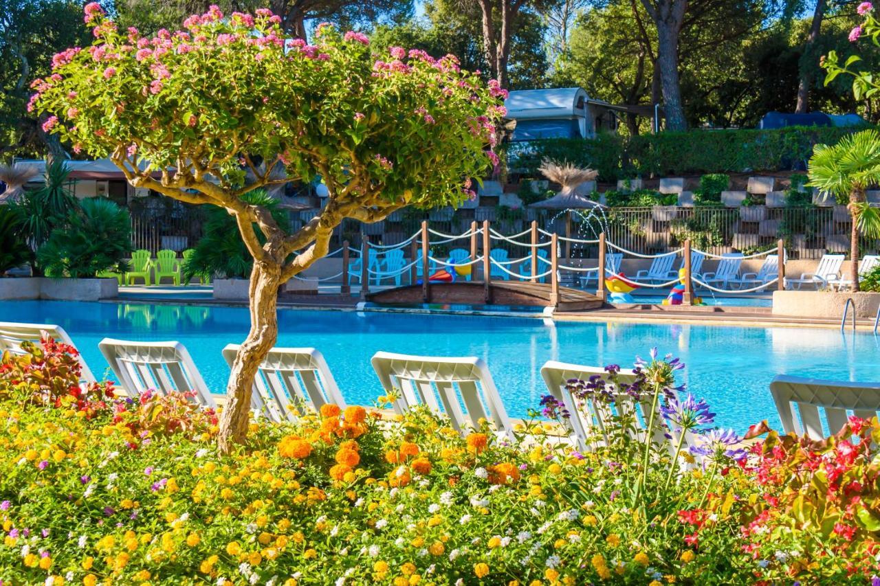3 Bedroom Chalets Camping Lei Suves - Joycasa Roquebrune-sur Argens Exteriér fotografie